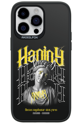 Haniny Icon (black) - Apple iPhone 14 Pro Max