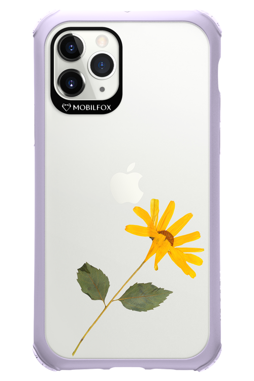 Pressed Flower - Apple iPhone 11 Pro
