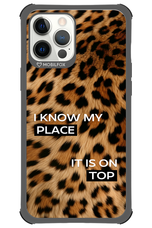 My Place - Apple iPhone 12 Pro Max