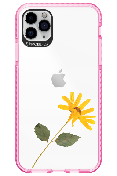 Pressed Flower - Apple iPhone 11 Pro Max