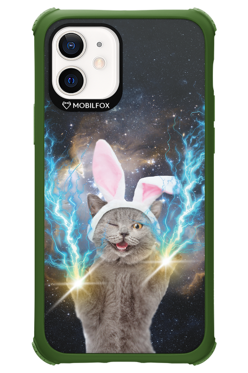 Destroy Cat - Apple iPhone 12