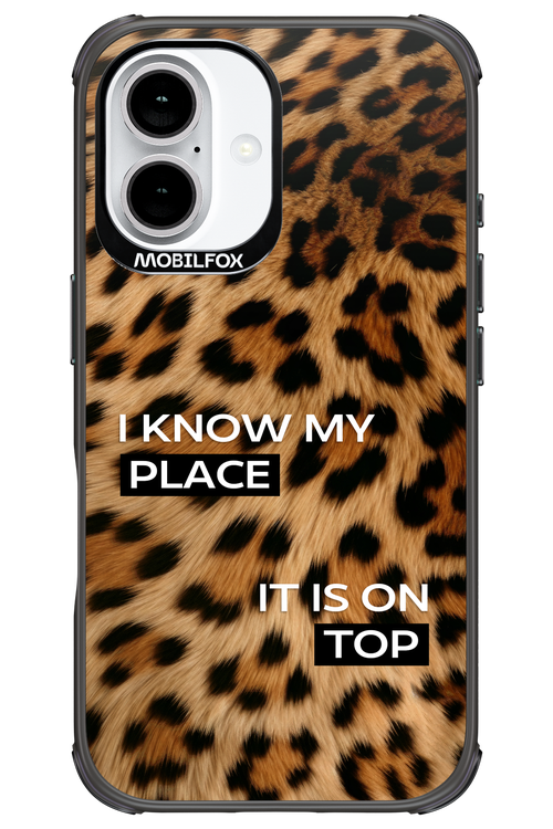 My Place - Apple iPhone 16