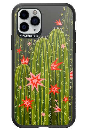 Cactus bloom 2.0 - Apple iPhone 11 Pro