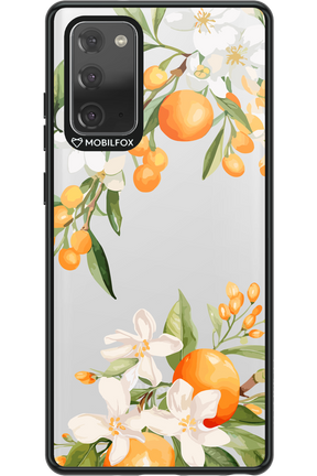 Amalfi Orange - Samsung Galaxy Note 20