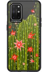 Cactus bloom 2.0 - OnePlus 8T