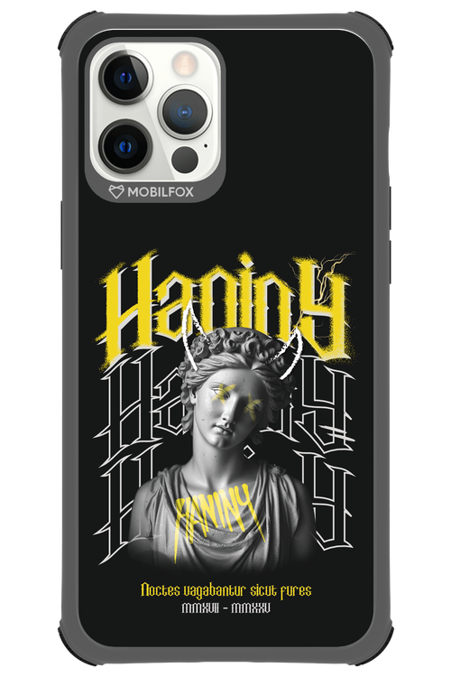 Haniny Icon (black) - Apple iPhone 12 Pro Max