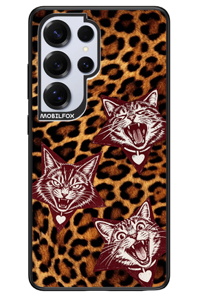 Cats and Chaos 2.0 - Samsung S25 Ultra