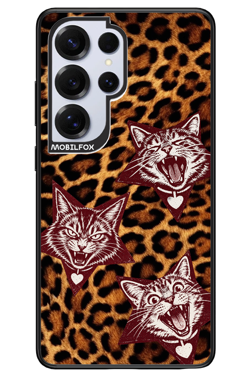 Cats and Chaos 2.0 - Samsung S25 Ultra