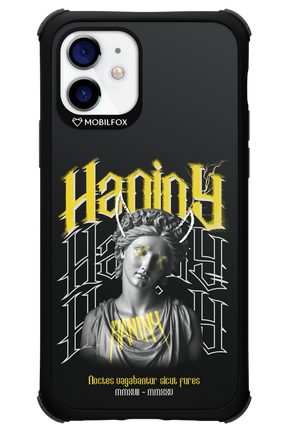 Haniny Icon (black) - Apple iPhone 12