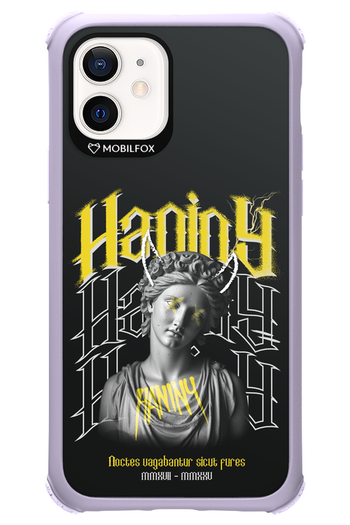 Haniny Icon (black) - Apple iPhone 12