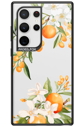 Amalfi Orange - Samsung Galaxy S24 Ultra