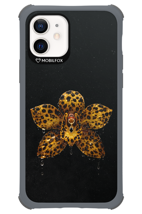 Wet & Wild 2.0 - Apple iPhone 12