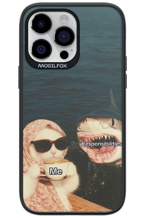 Responsibilities - Apple iPhone 14 Pro Max