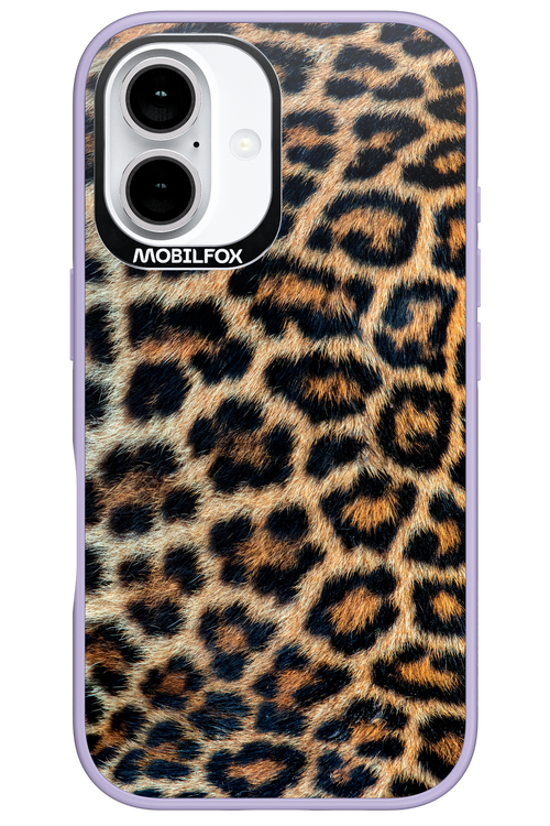 Leopard - Apple iPhone 16
