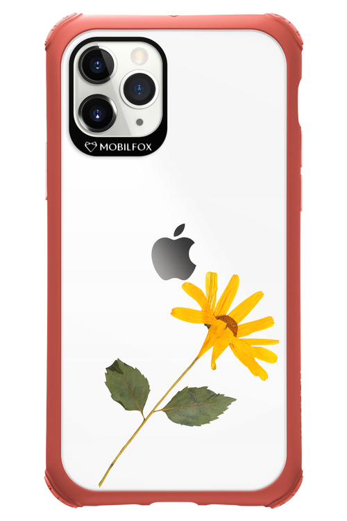 Pressed Flower - Apple iPhone 11 Pro