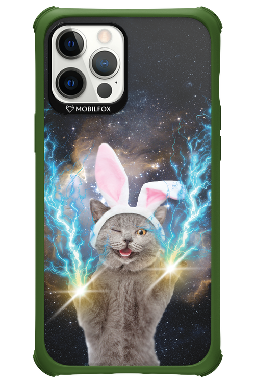 Destroy Cat - Apple iPhone 12 Pro Max