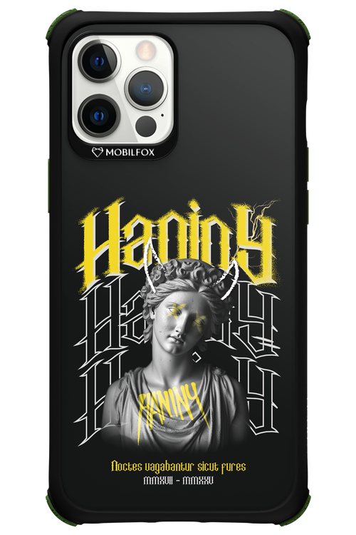 Haniny Icon (black) - Apple iPhone 12 Pro Max