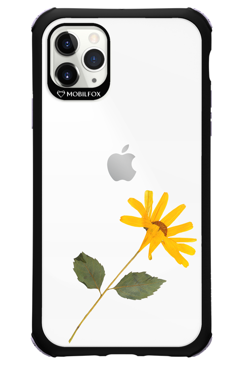 Pressed Flower - Apple iPhone 11 Pro Max