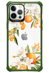 Amalfi Orange - Apple iPhone 12 Pro Max