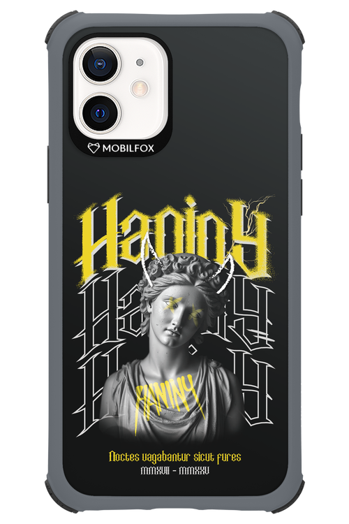 Haniny Icon (black) - Apple iPhone 12