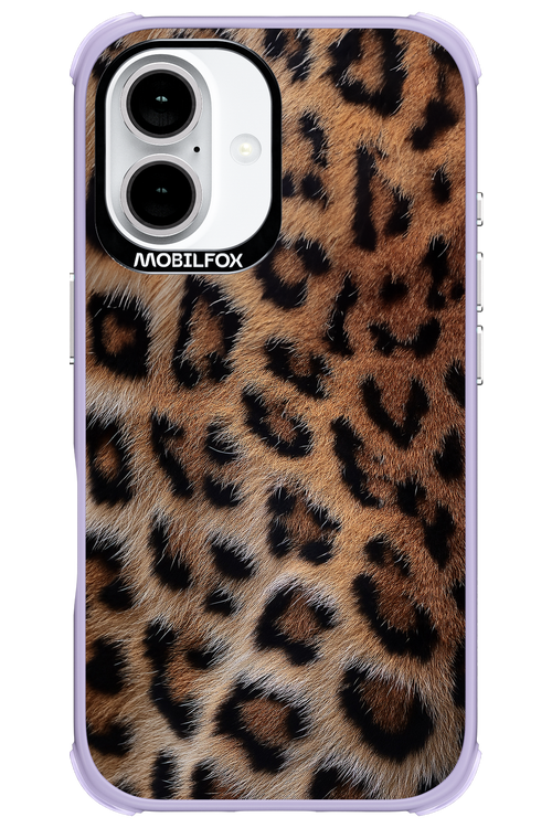Furr Babe - Apple iPhone 16