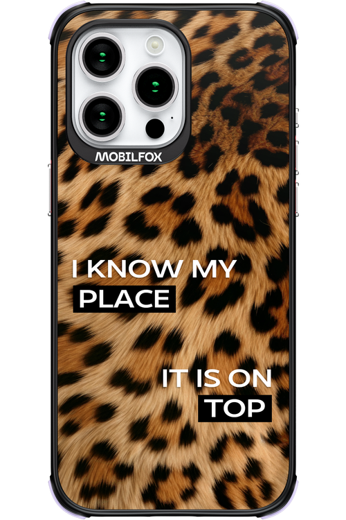 My Place - Apple iPhone 15 Pro Max