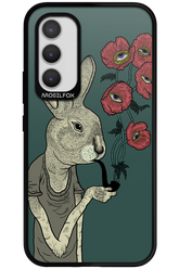 Bunny - Samsung Galaxy A34