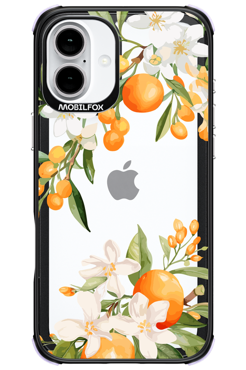 Amalfi Orange - Apple iPhone 16 Plus