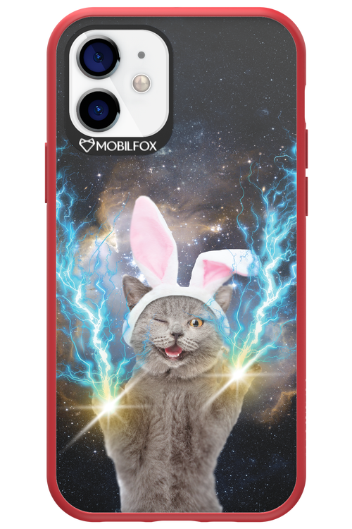 Destroy Cat - Apple iPhone 12