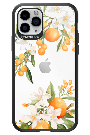 Amalfi Orange - Apple iPhone 11 Pro