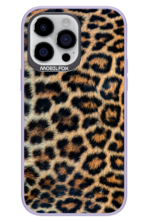 Leopard 2.0 - Apple iPhone 14 Pro Max