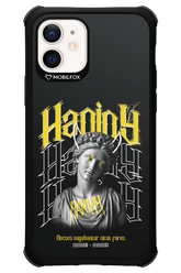 Haniny Icon (black) - Apple iPhone 12