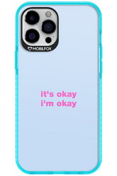 It_s Okay - Apple iPhone 12 Pro Max