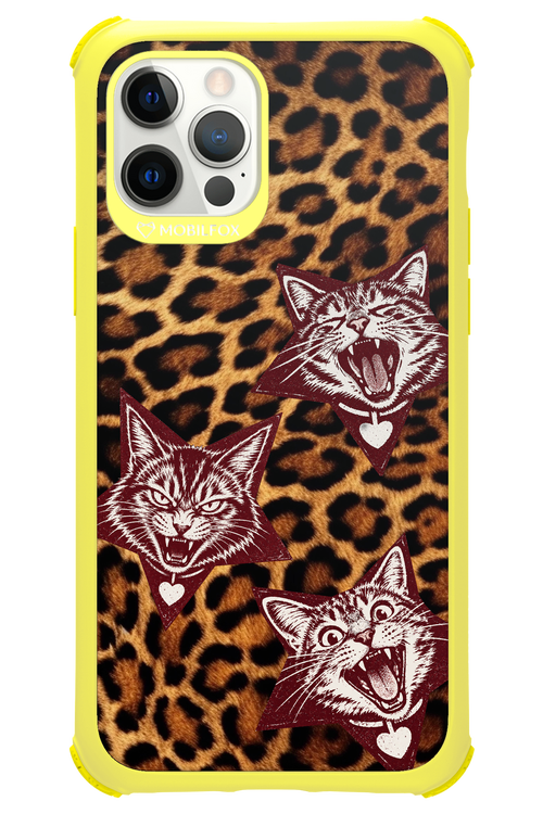 Cats and Chaos 2.0 - Apple iPhone 12 Pro