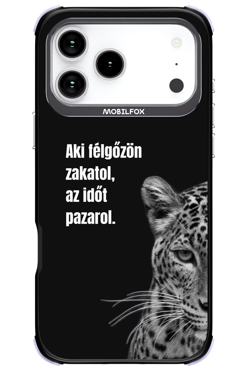 Value Of Time - Apple iPhone 17 Pro Max