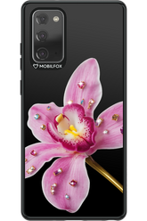 Pink Hibiscus 2.0 - Samsung Galaxy Note 20