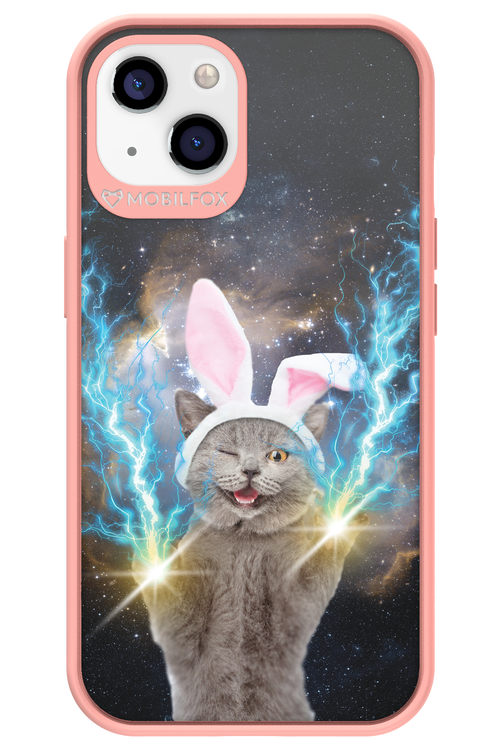 Destroy Cat - Apple iPhone 13