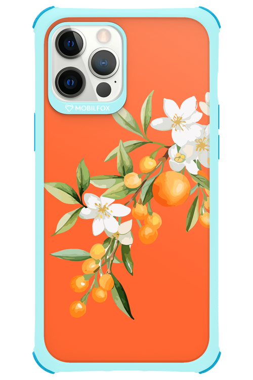 Amalfi Oranges - Apple iPhone 12 Pro Max