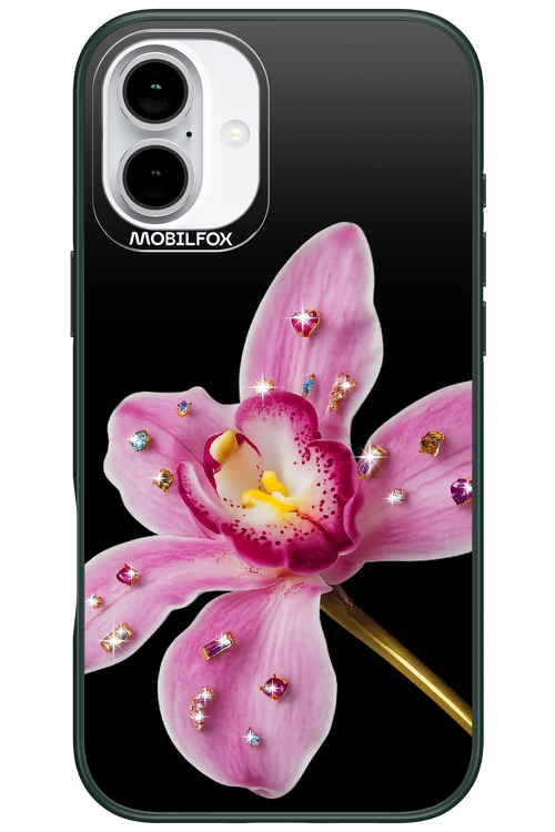 Pink Hibiscus 2.0 - Apple iPhone 16 Plus