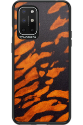 Wild Tiger - OnePlus 8T