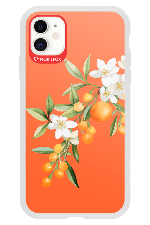 Amalfi Oranges - Apple iPhone 11