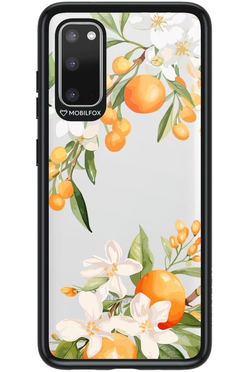 Amalfi Orange 2.0 - Samsung Galaxy S20