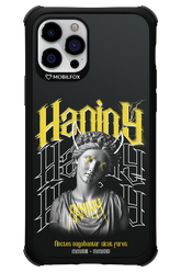 Haniny Icon (black) - Apple iPhone 12 Pro