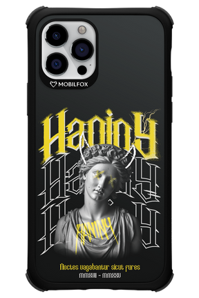 Haniny Icon (black) - Apple iPhone 12 Pro