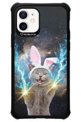 Destroy Cat - Apple iPhone 12