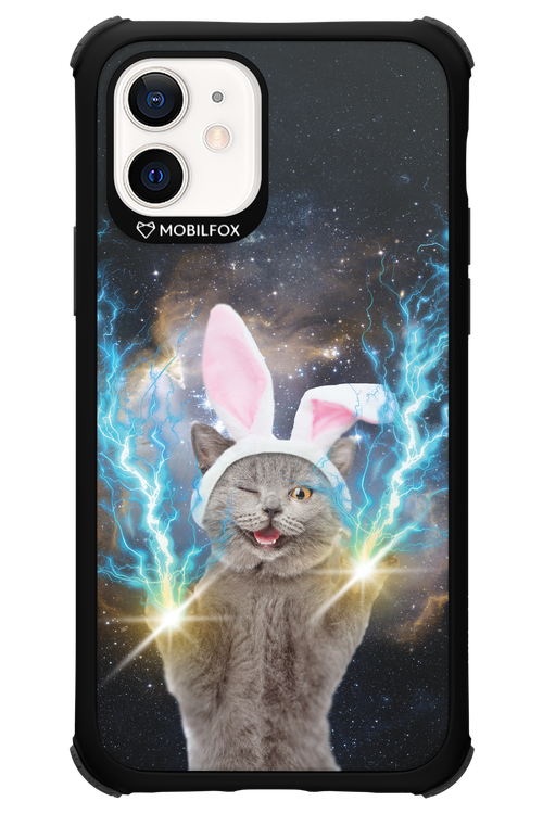 Destroy Cat - Apple iPhone 12