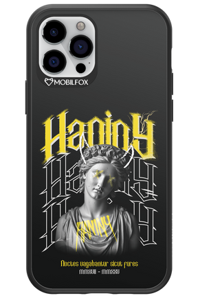 Haniny Icon (black) - Apple iPhone 12 Pro