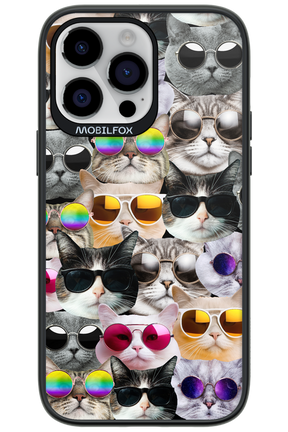 Cat World - Apple iPhone 14 Pro Max