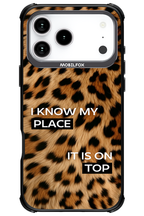 My Place - Apple iPhone 17 Pro Max