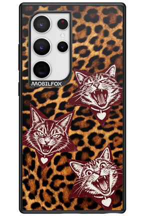 Cats and Chaos 2.0 - Samsung Galaxy S24 Ultra